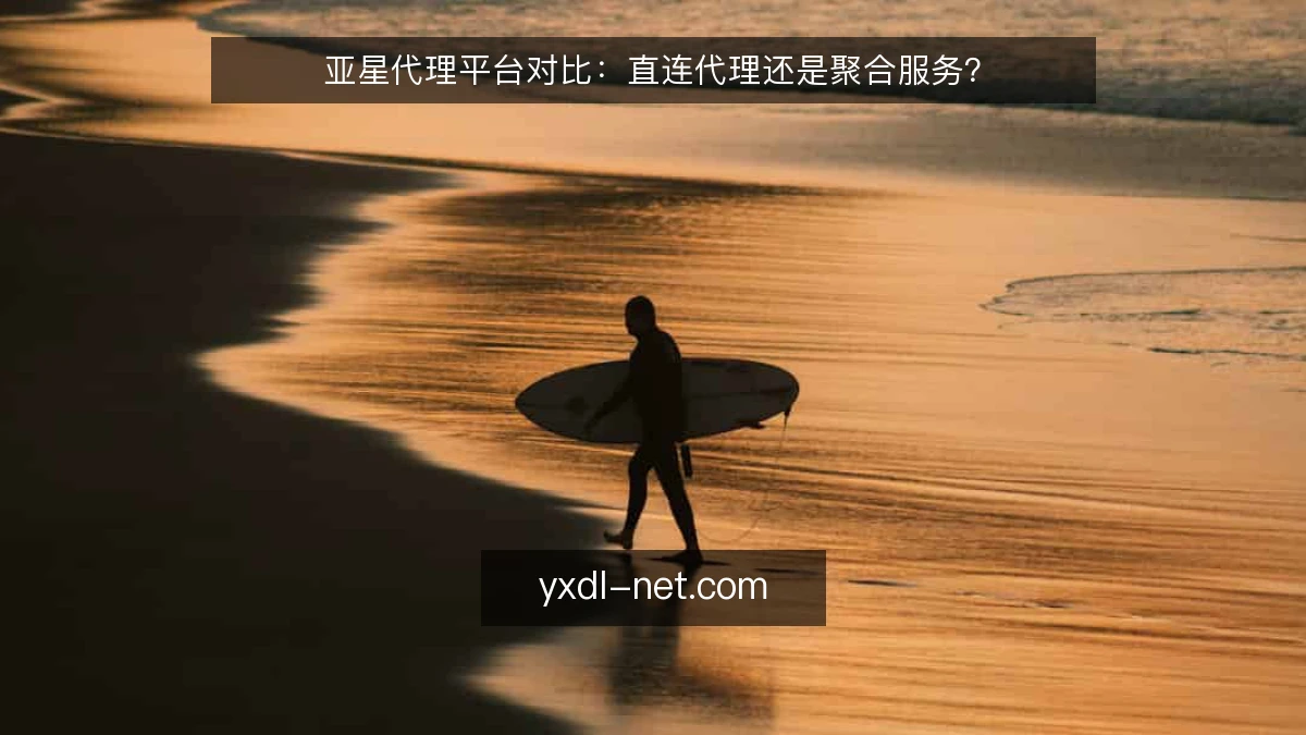 亚星代理平台对比:直连代理还是聚合服务?