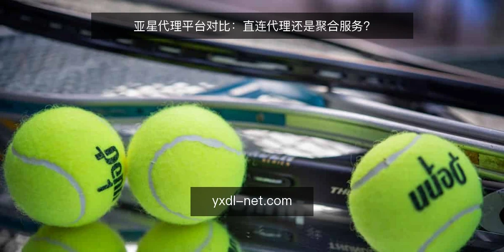 亚星代理平台对比：直连代理还是聚合服务？ — 信号观察：两种模式在接入初期的关键差异 配图