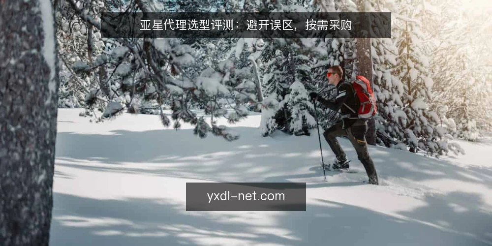 亚星代理选型评测:避开误区,按需采购 — 采购亚星代理前,先明确需求边界 配图